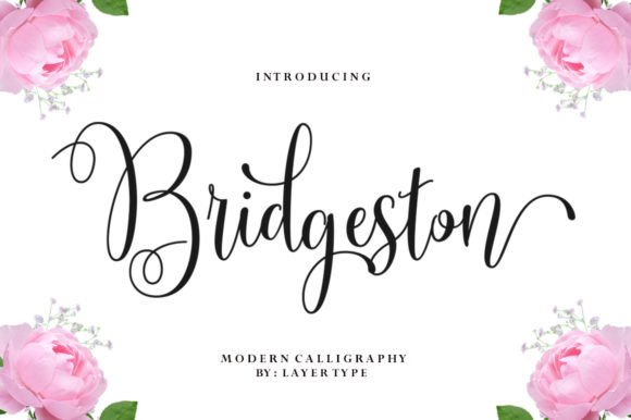 Bridgeston Script Font for Playful, Memorable Campaigns
