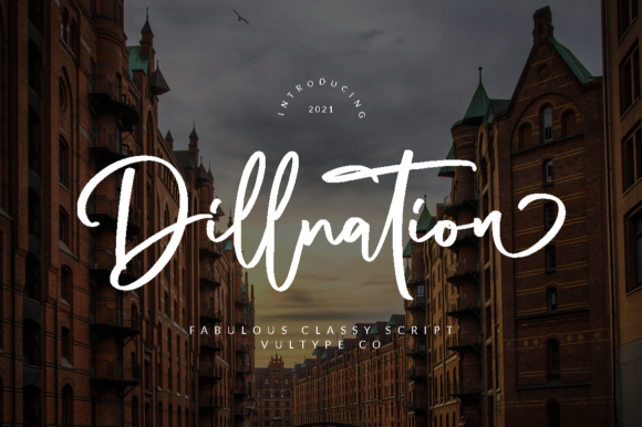 Dillnation: A Delicate Script Font for Business Branding