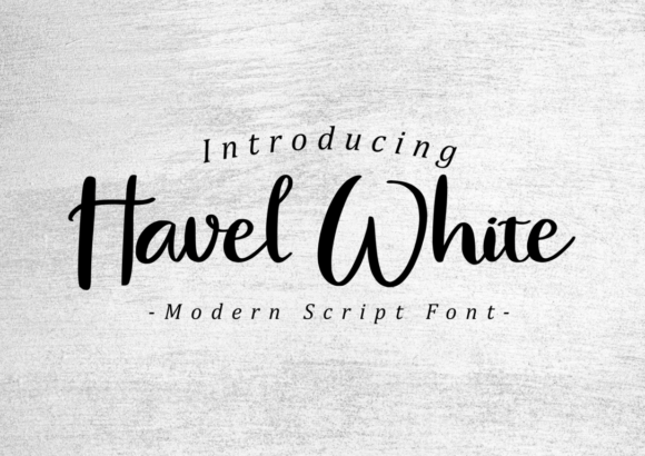 Havel White Script Font for Elegant Branding
