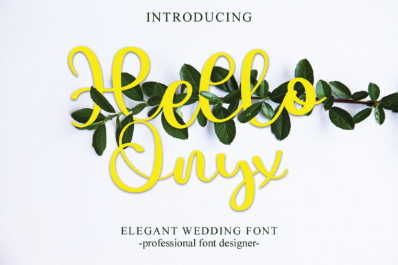 Hello Onyx: A Fashionable Script Font for Digital Design