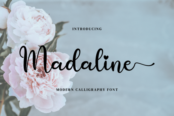 Madaline Script Font for Elegant Digital Branding