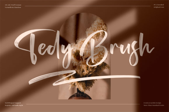 Tedy Brush Font for Elegant Designs